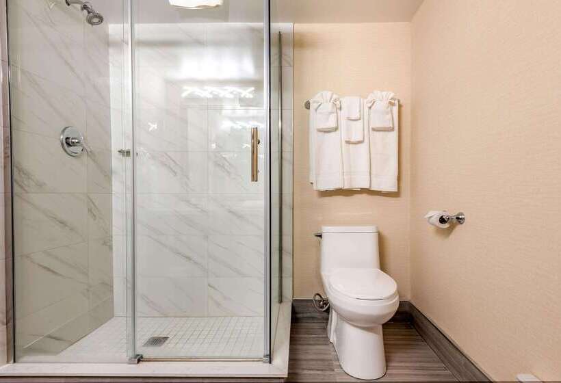 酒店 Quality Inn & Suites