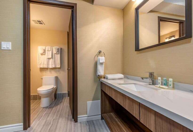 酒店 Quality Inn & Suites