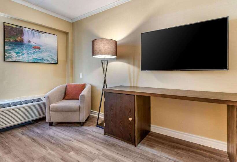 酒店 Quality Inn & Suites