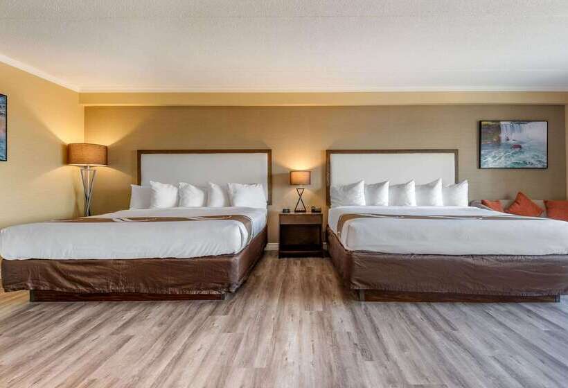 酒店 Quality Inn & Suites