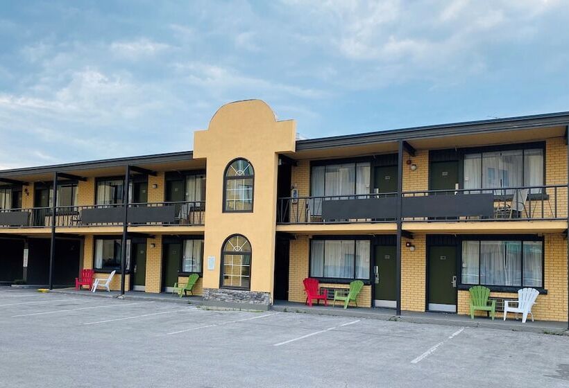 酒店 Quality Inn & Suites