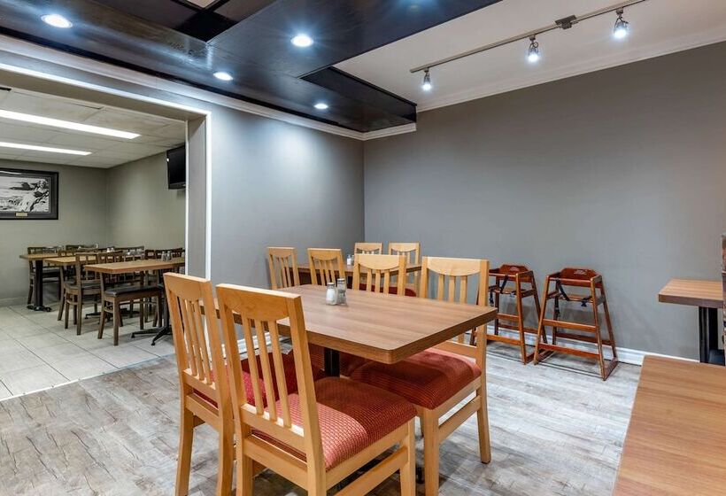 酒店 Quality Inn & Suites