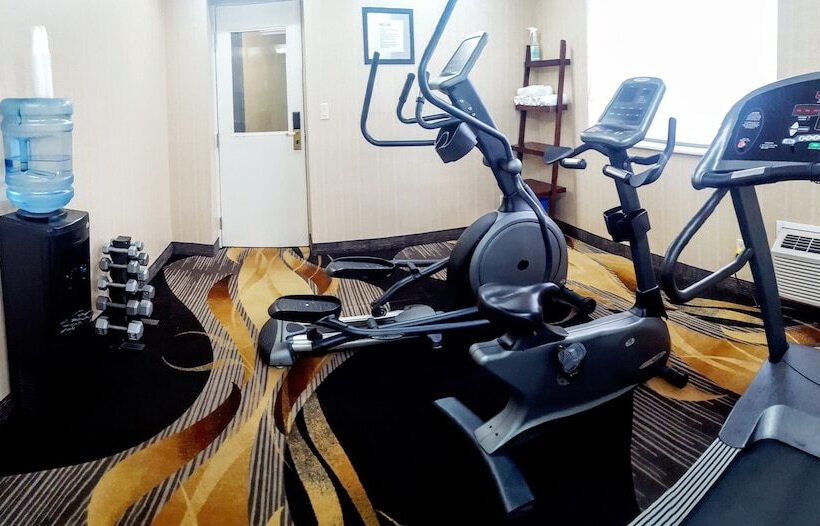 酒店 Quality Inn & Suites