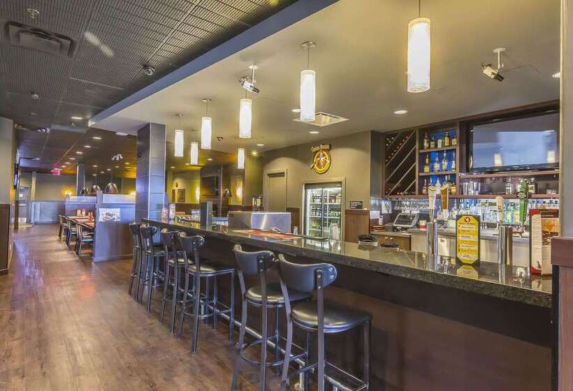 酒店 Quality Inn & Suites