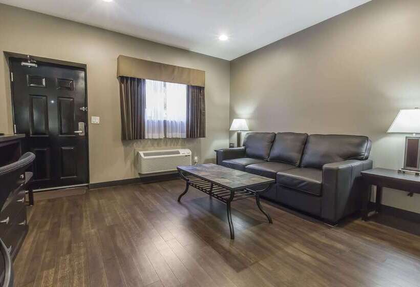 酒店 Quality Inn & Suites