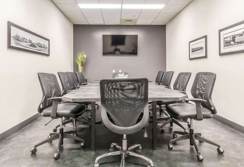 酒店 Quality Inn & Suites