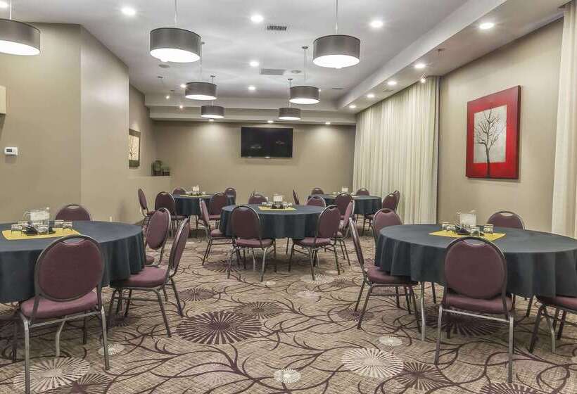 酒店 Quality Inn & Suites