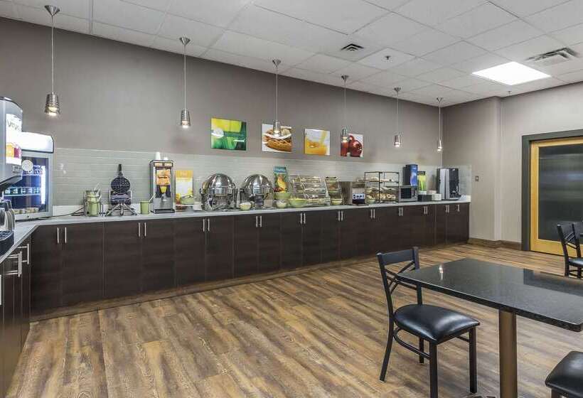 酒店 Quality Inn & Suites