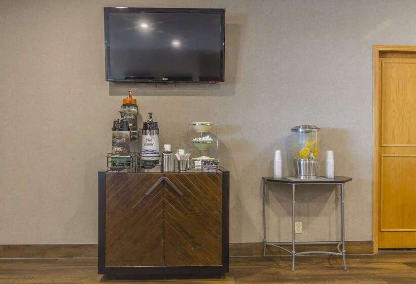 酒店 Quality Inn & Suites