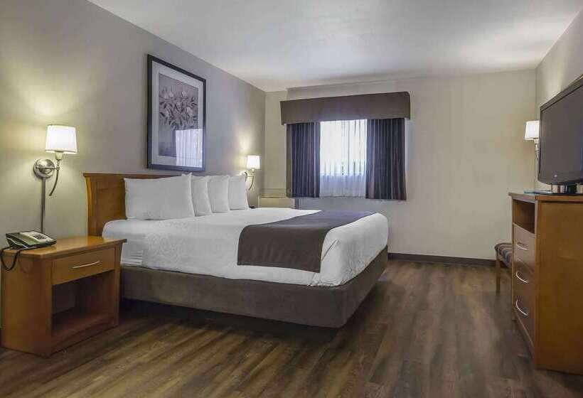 酒店 Quality Inn & Suites