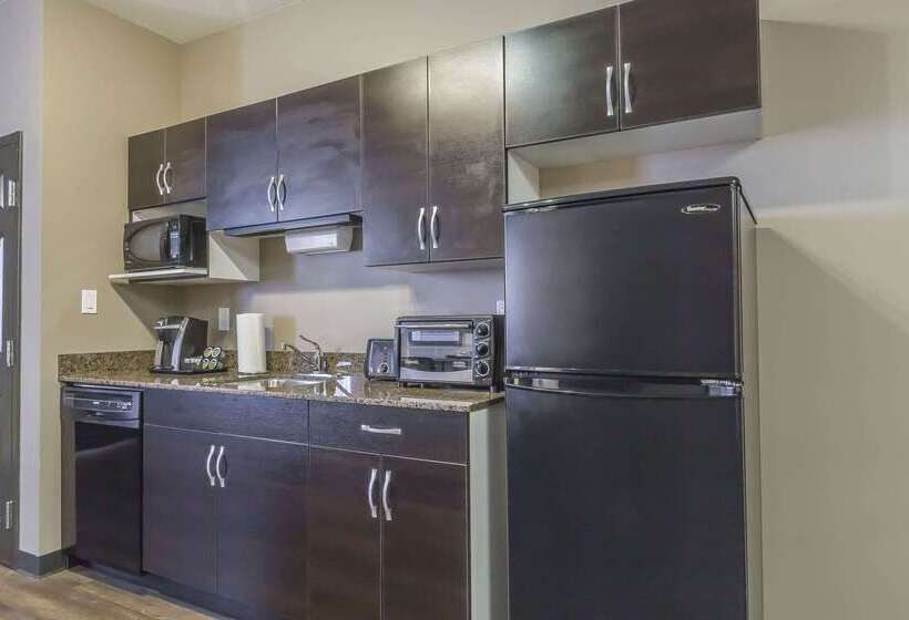 酒店 Quality Inn & Suites