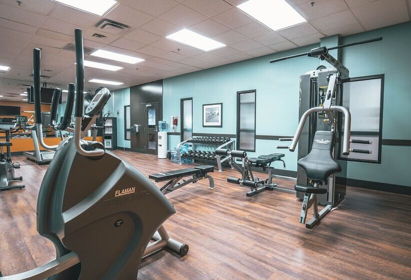 酒店 Quality Inn & Suites