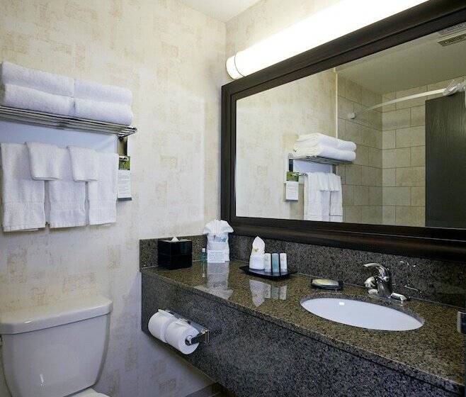 酒店 Quality Inn & Suites