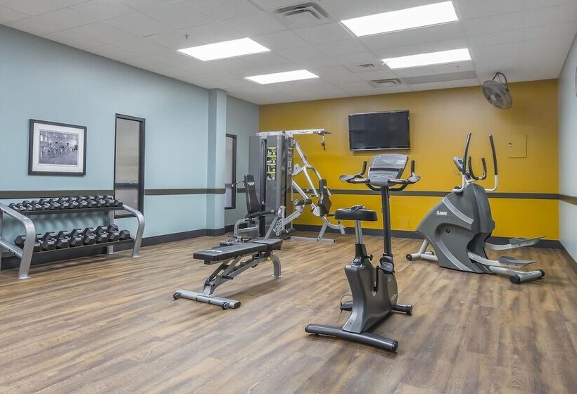 酒店 Quality Inn & Suites