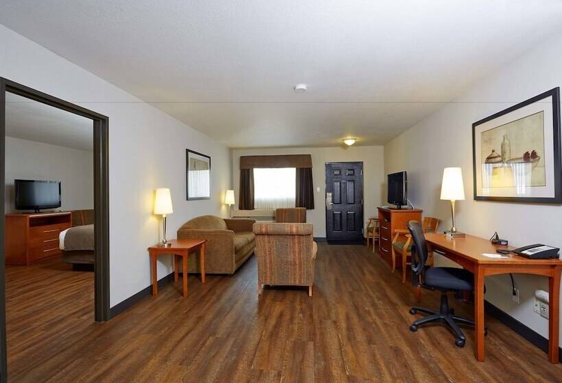 酒店 Quality Inn & Suites