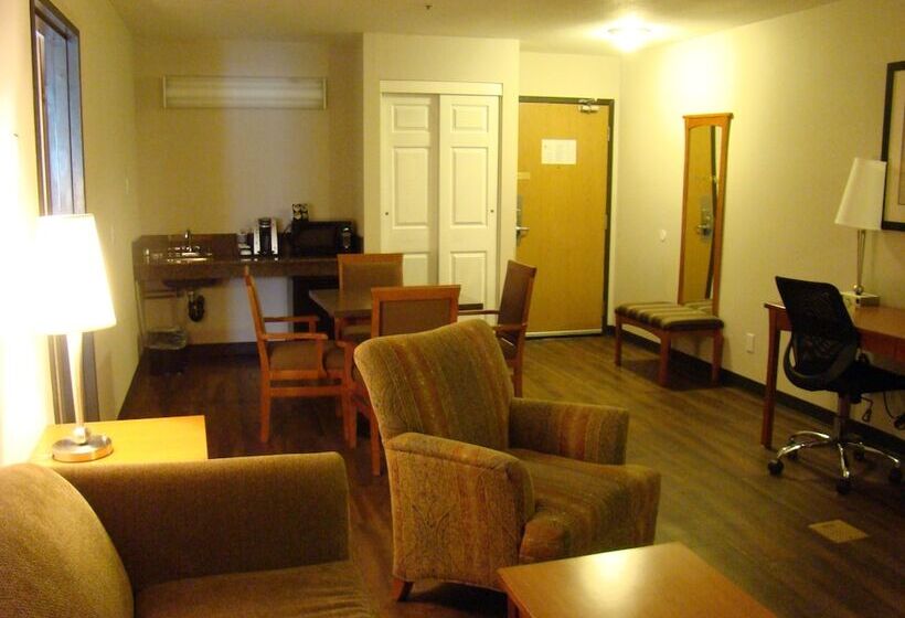酒店 Quality Inn & Suites