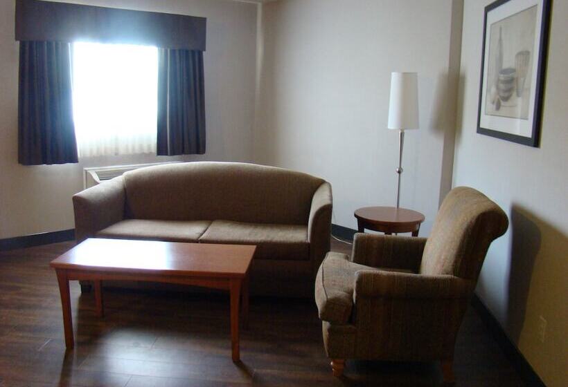 酒店 Quality Inn & Suites