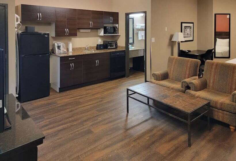 酒店 Quality Inn & Suites