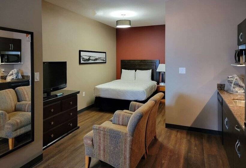 酒店 Quality Inn & Suites