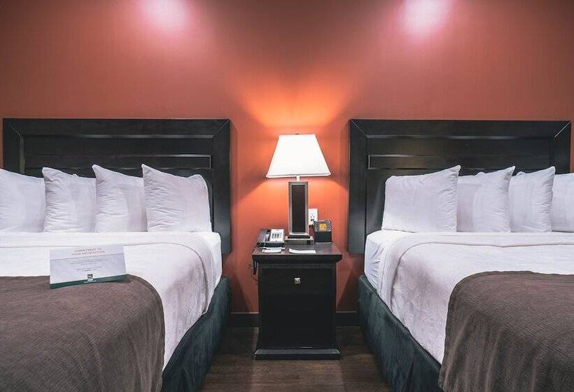 酒店 Quality Inn & Suites