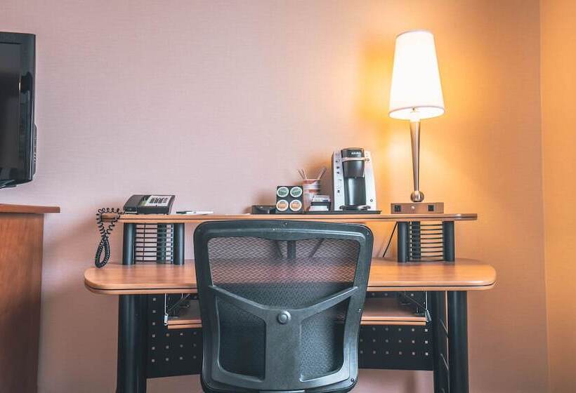 酒店 Quality Inn & Suites