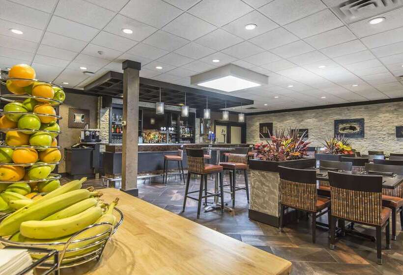 Quattro Hotel & Conf. Centre, Ascend Hotel Collection
