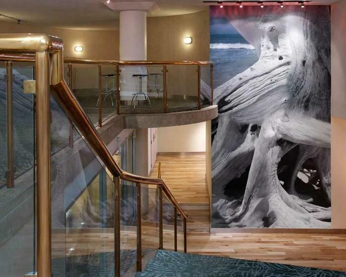 בית מלון כפרי Radisson Blu Toronto Downtown