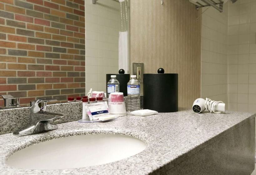 فندق Ramada By Wyndham Lethbridge