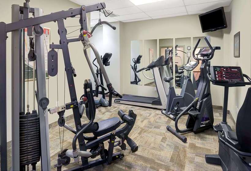 בית מלון כפרי Ramada By Wyndham Niagara Falls/fallsview