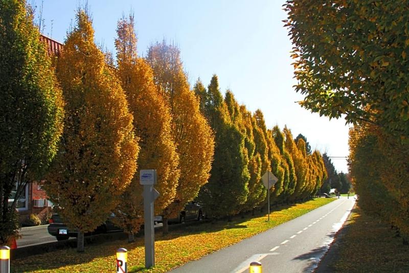 Отель Red Lion Inn And Suites Victoria