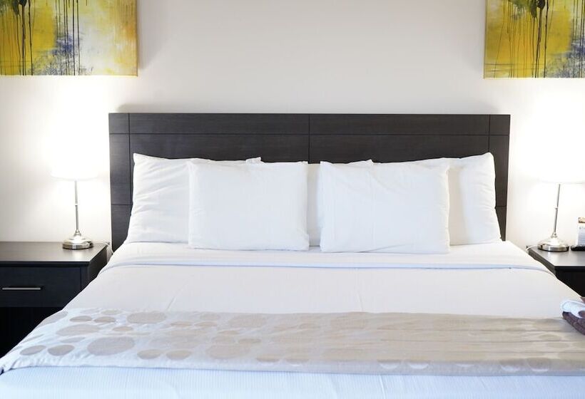 Отель River Rapids Inn