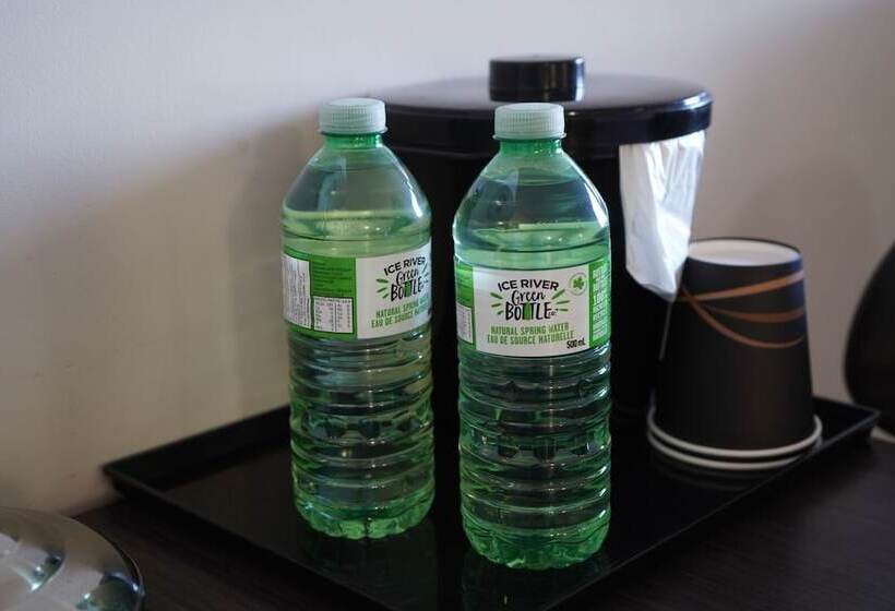 Отель River Rapids Inn