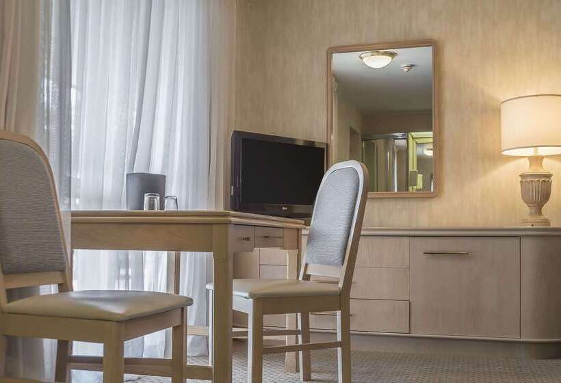 Отель Rodeway Inn Fallsview