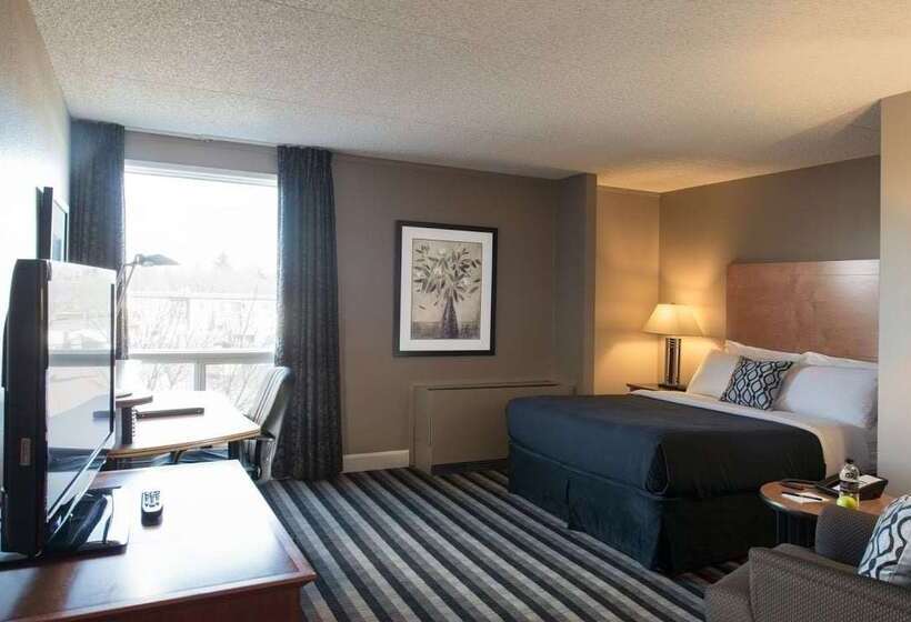 Royal Hotel Regina, Trademark Collection By Wyndham