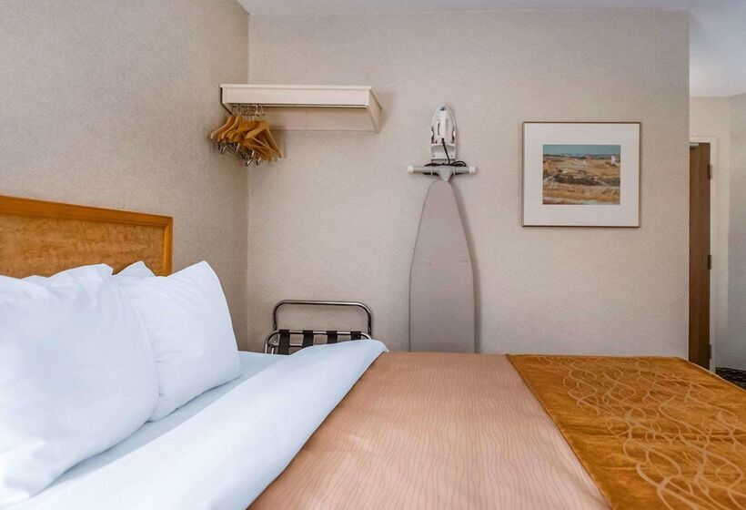 בית מלון כפרי Rodeway Inn