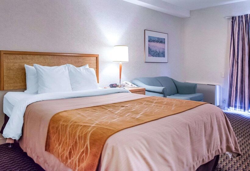 בית מלון כפרי Rodeway Inn