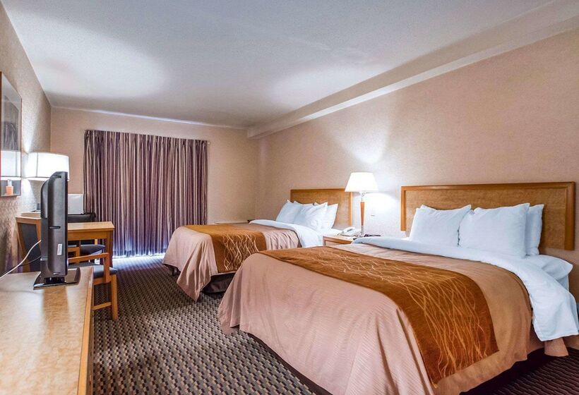 בית מלון כפרי Rodeway Inn