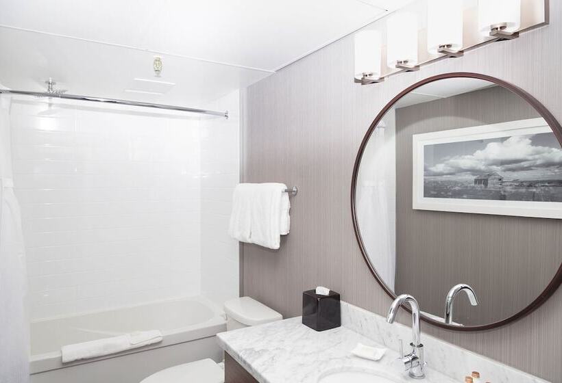 فندق Sandman Signature Lethbridge Lodge