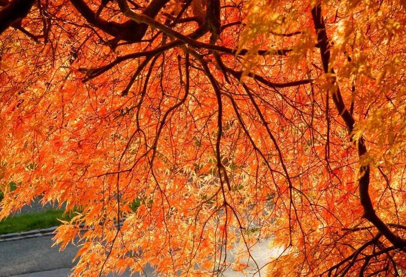 ホテル Schloss Ragaz