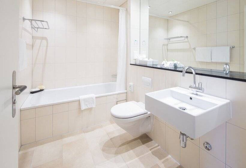 Отель Schweizerhof Basel