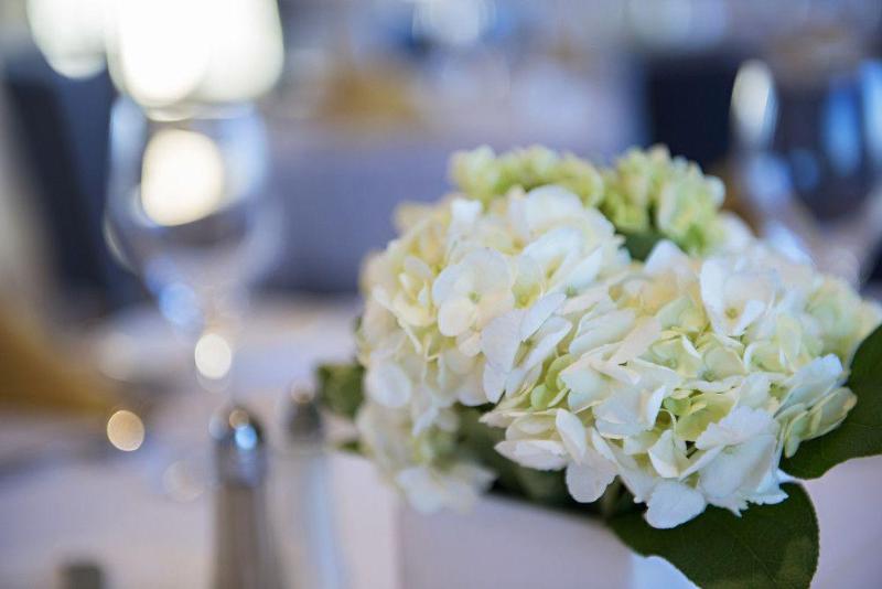 فندق Sheraton Cavalier Saskatoon