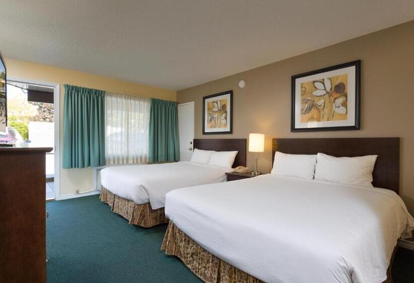 בית מלון כפרי Siesta Suites