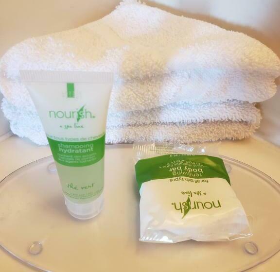 Hotelli Skyview Swift Current