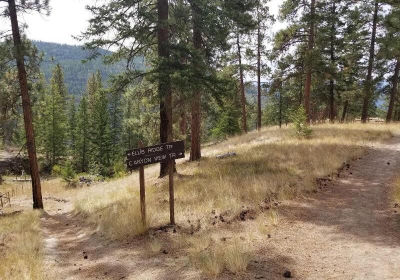 ホテル Super 8 By Wyndham Penticton