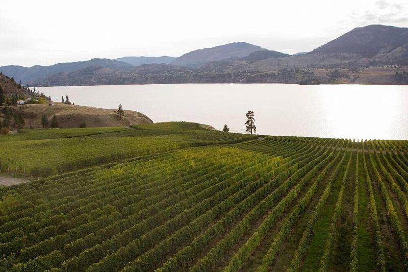 ホテル Super 8 By Wyndham Penticton