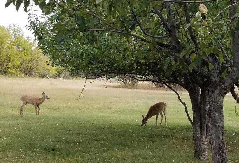 Hotelli Skyview Swift Current