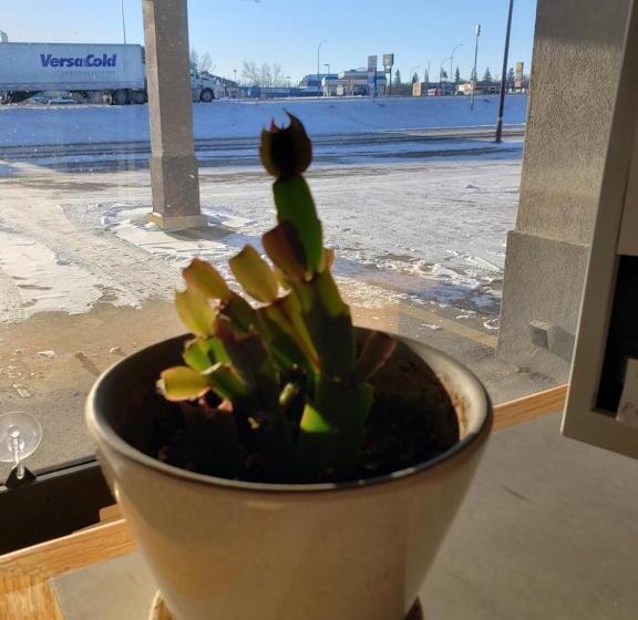 Hotelli Skyview Swift Current