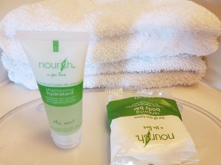 Hotelli Skyview Swift Current