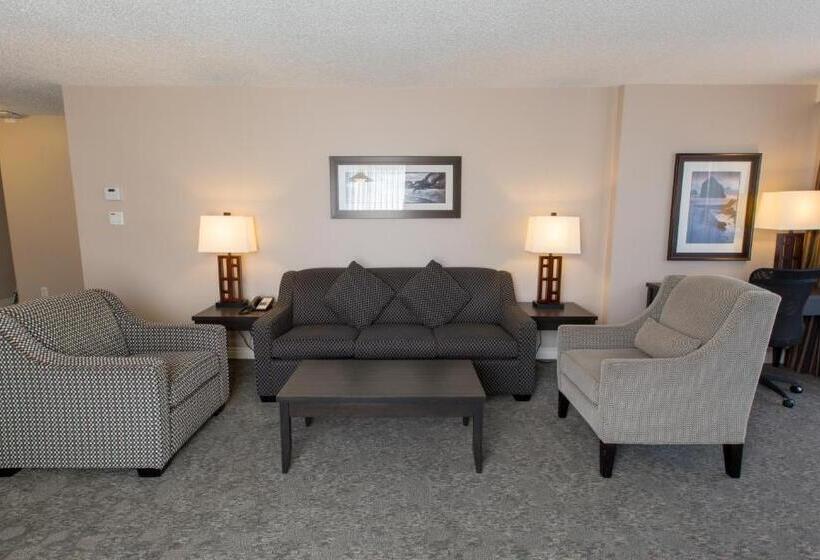 酒店 The Embassy Inn