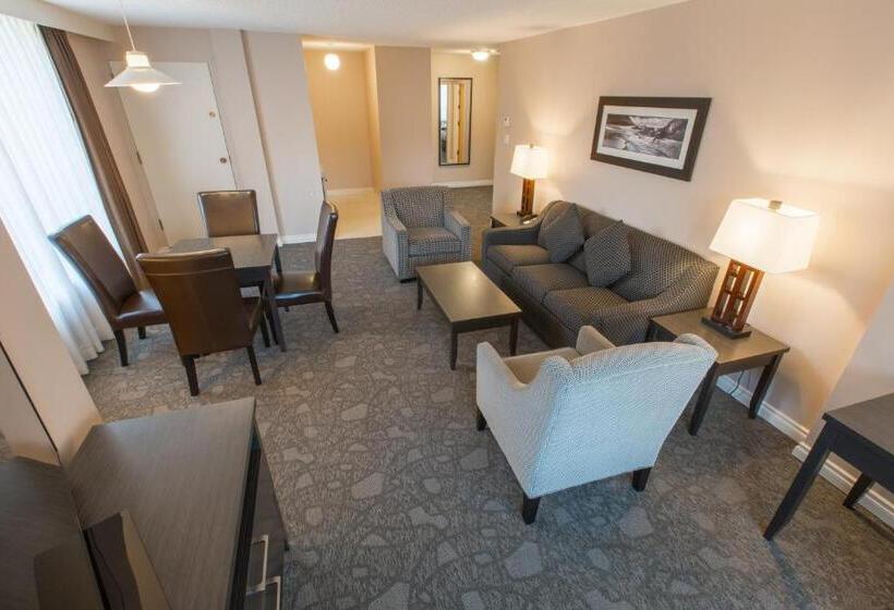 酒店 The Embassy Inn